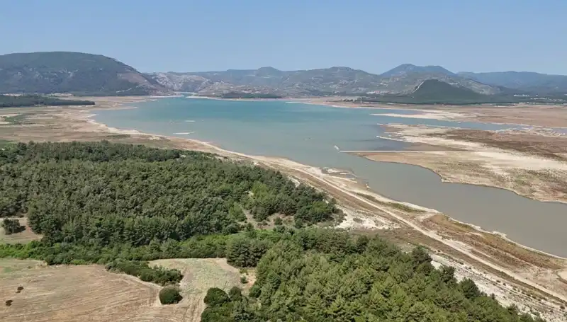 İzmir'de Tehlike Çanları: Geçen Yıla Göre Yüzde 50 Düşüş Mü Gözlemleniyor?