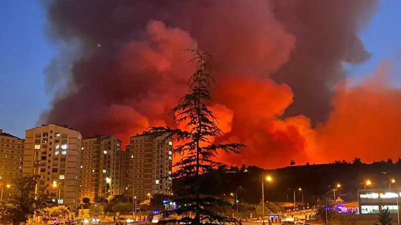 Bursa'da Yangın Alarmı: Şehirde Alevlerin Yükseldiği Anlar