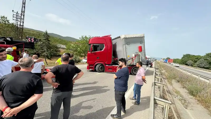 Seyir Halindeyken Arı Soktu: Aracında Şoka Giren Sürücü Trafiği Kilitledi