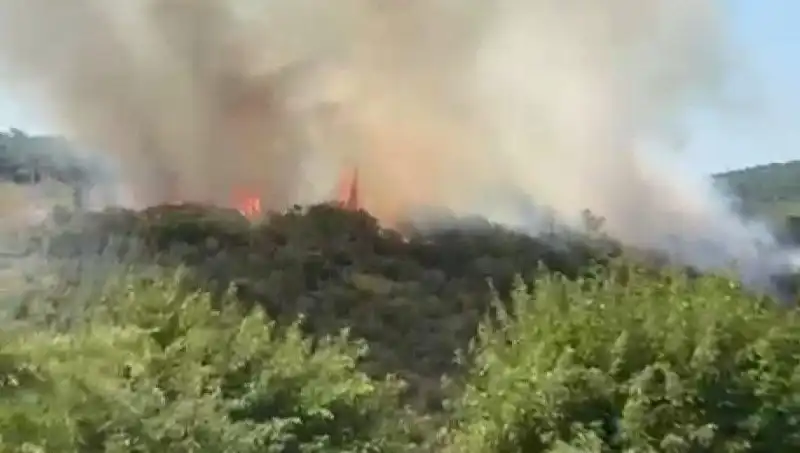İstanbul'da Orman Yangını Paniği: Vatandaşlar Acil Tahliye Ediliyor