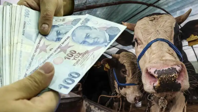 Kurban Bayramı Öncesi Maaşlar Ne Zaman Yatacak? Emeklilere Müjde!