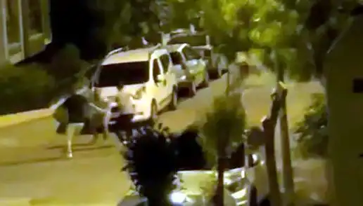 Avcılar’da Üç Kişinin Saldırdığı Vatandaş, Çevredekilerin Müdahalesiyle Kurtarıldı