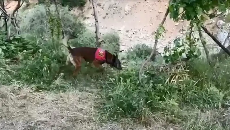 Dere Kenarına Gizlenen Uyuşturucu, Dedektör Köpekle Ele Geçirildi