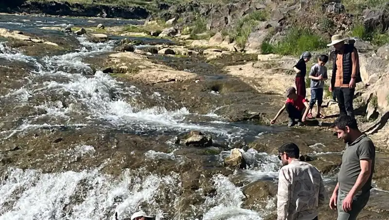 İnci Kefalinin Büyüleyici Göçü: Doğanın Harikası Turistleri Kendine Çekiyor