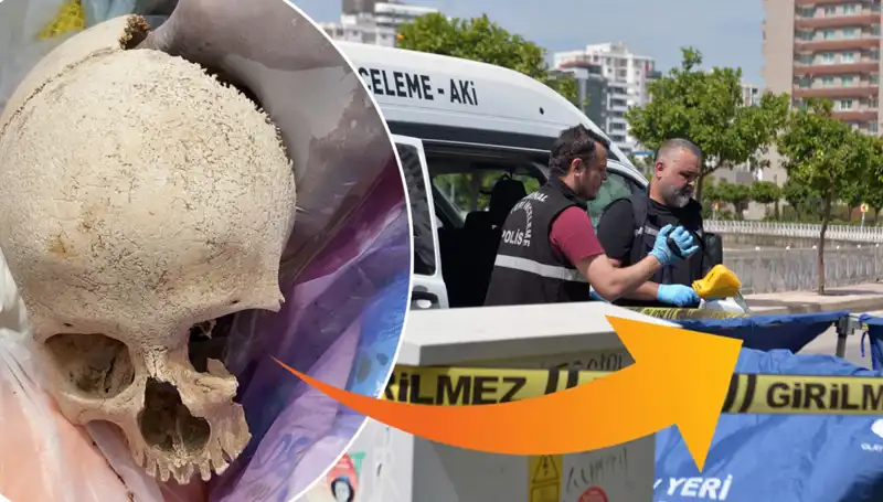Sitenin Çöpünden Çıkan Kafatası: Uzman Doktorun Sakladığı Korkunç Sır!