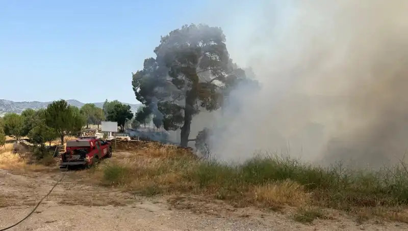 Muğla'da Korkutan Orman Yangını: Doğaya Verilen Zarar ve Önlemler