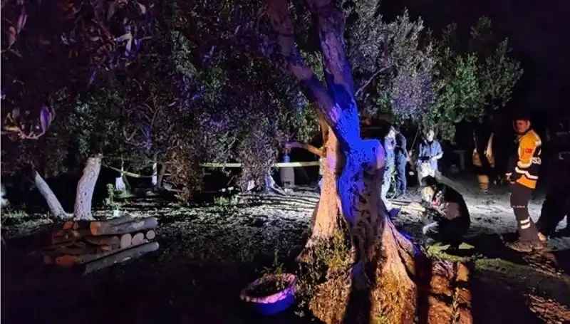 Çiftlikteki Şok Edici Baltalı Vahşete İlk Tutuklama Yapıldı!