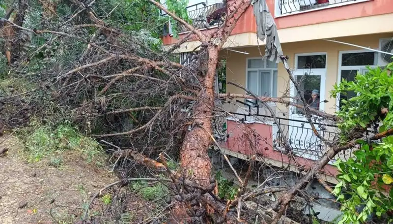 Ağır Yağışlar Altyapıya Zarar Verdi: Bina Devrildi