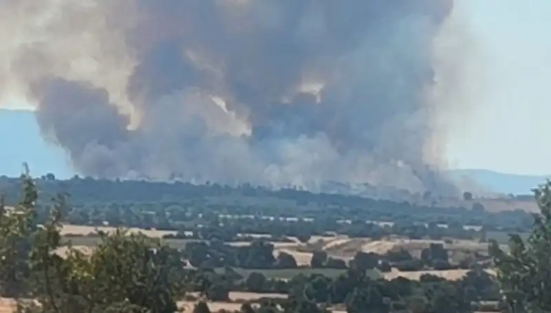 Edirne’yi Saran Duman: Komşudaki Orman Yangını Alarm Verdi