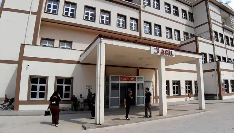 Bolu'da Ayı Avı Kararı: Doğa Dengesini Koruma Projesi