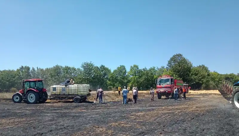 Buğday Tarlasında Yangın: 10 Dönüm Küle Döndü, Çiftçilerin Kayıpları Büyük
