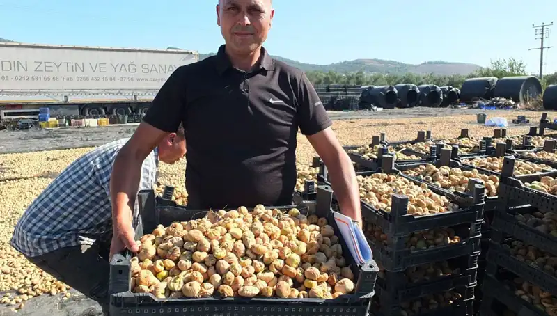 Balıkesir'in Lezzetli Ürünleri, Çin ve Rusya Pazarına Açılıyor!