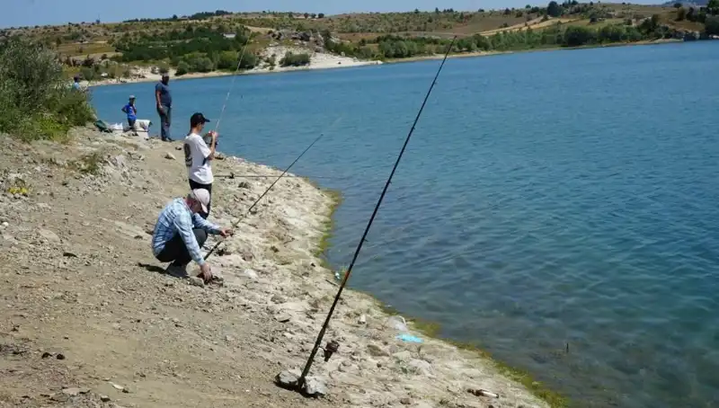 Kafeslerdeki Esaret Sona Erdi: Balıklar Özgürlüğe Kavuşuyor