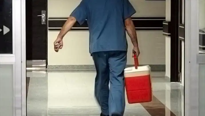 Organ Bağışına Dijital Dönüşüm: e-Devlet ve e-Nabız ile Kolay Başvuru