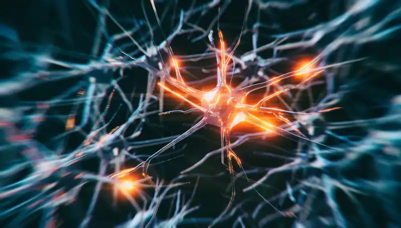 Alzheimer Vakalarının Artışı: Sebepleri ve Gelecek Beklentileri