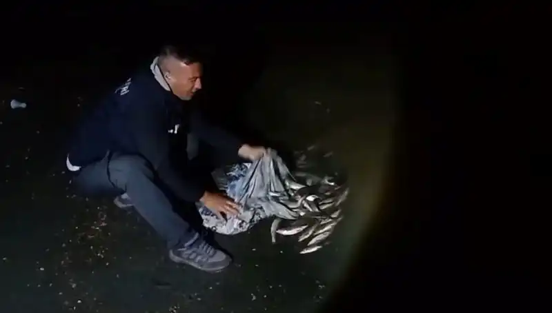 Bir Ton İnanılmaz İnci Kefali Avlandı: Balıkçılar Efsane Bir Gün Geçirdi!