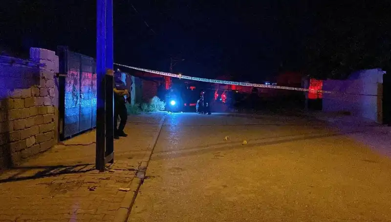 Kuma Getirme Kavgası: Sıcak Gelişmeler ve Kanlı Çatışma
