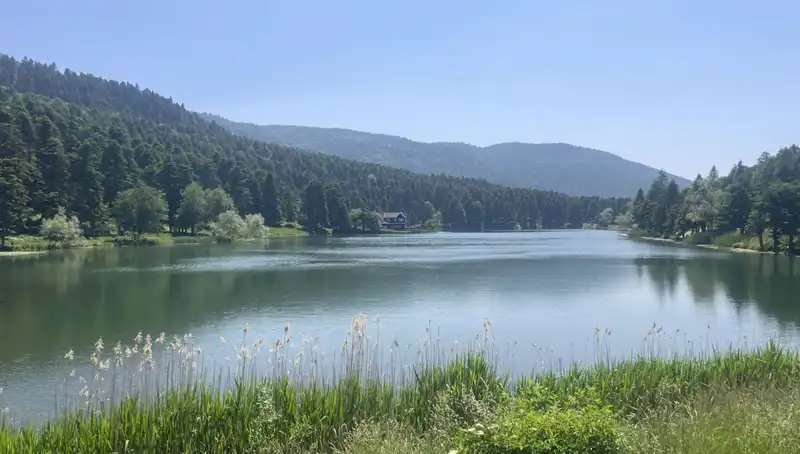 Bolu Milli Parkları, Doğa Tutkunlarının Akınına Uğradı!