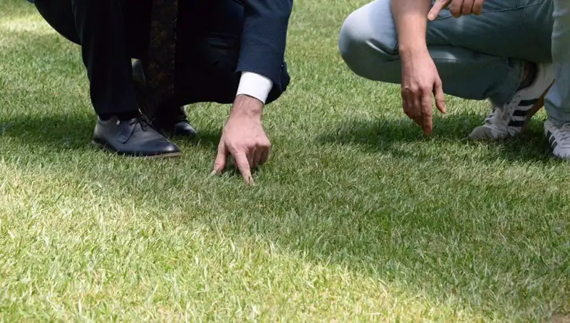 Stadyum Zemininde Tartışmalar Sona Eriyor: 10 Gün İçinde Hazır Olacak!