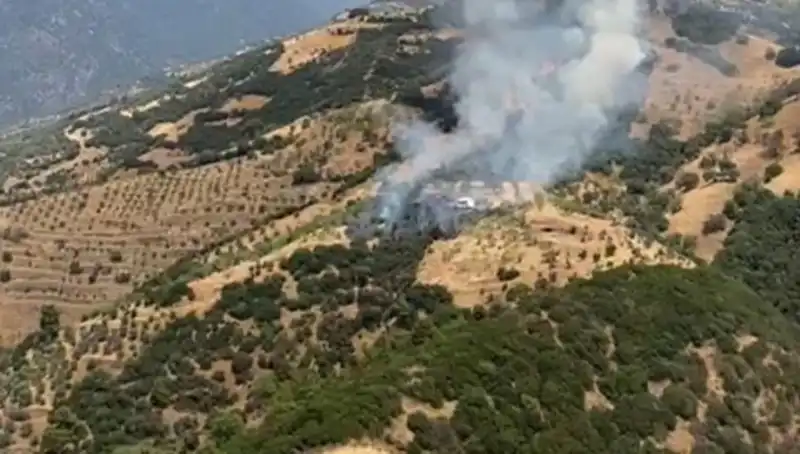 Aydın'da Zeytinlik Yangını: Doğa ve Ekonomi Zarar Görüyor!